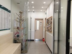 -凯特喵百思猫专科医院
