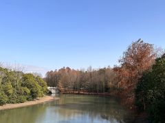 -上海海湾国家森林公园