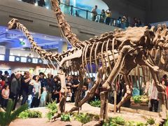 -自贡恐龙博物馆