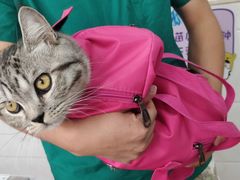 -荔康动物医院(康王北路店)