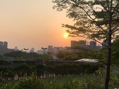 -艾薯夫妇Aysh(福田星河COCOPark店)