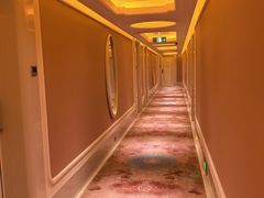 -芜湖白金汉爵大酒店