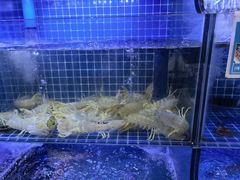 -方记海鲜大排档(乐山形象店)