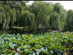-绍兴鉴湖君澜大酒店