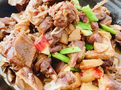 -柘林湖生态鱼馆