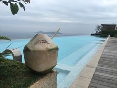 -瑰丽酒店·海吧·天际下午茶·现场DJ·天台酒吧