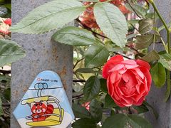 -南京市江宁方山