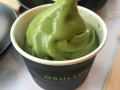 -雪绿茶博物馆