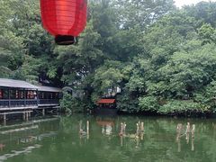 -侨美·唐荔园·40年地道粤菜