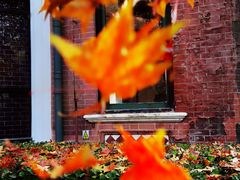 -北京动物园-畅观楼