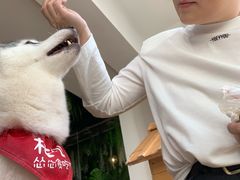-Husky Go! 哈士奇体验馆·宠物咖啡厅狗咖