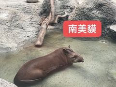 -武汉动物园