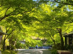 -三千院