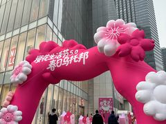-金茂览秀城