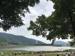 -风云岭森林公园
