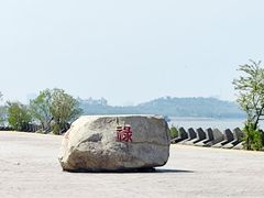 -上海滨江森林公园