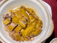 客家盐焗鸡-金鼎轩(亚运村店)