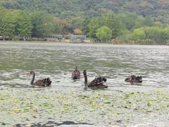-长广溪湿地公园