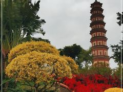 -广州莲花山旅游区