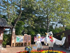 -大湾区中央湿地公园