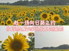 -苏州湾体育公园
