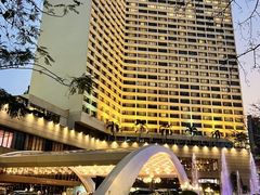 -广州花园酒店