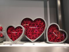 -ROSEONLY诺誓(广州K11店)