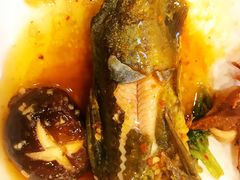 -川成串·自助串串香火锅(朝阳店)