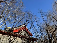 -元大都城垣遗址公园