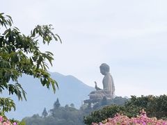 -天坛大佛