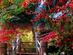 -九如山休闲旅游度假区