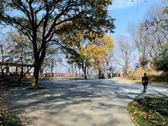 -紫金山山顶公园