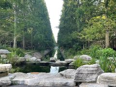 -东平国家森林公园