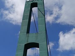 -玉苍山国家森林公园