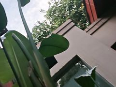 -广州都喜泰丽温泉度假酒店