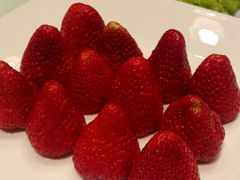-子福慧(虹桥店)