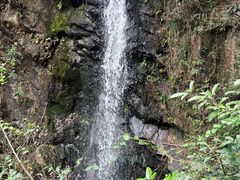 -马峦山郊野公园