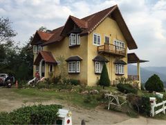 iphone_upload_pic-黄色小屋