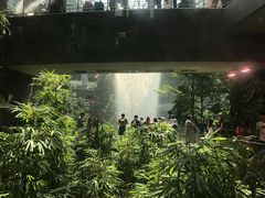 -樟宜机场免税店