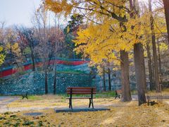 -阳台山自然风景区