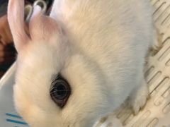 -藦茜花园宠物主题亲子互动体验馆(国顺东路店)
