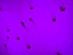 -沈阳海洋探索中心