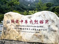 -卧龙中华大熊猫苑神树坪基地