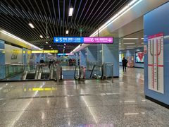 -大龙山(地铁站)