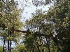 -梦幻奥陶纪景区