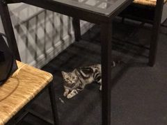 -驭力搏击健身(张江高科店)