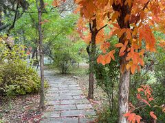 -长春市南湖公园