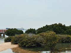 -霞山观海长廊