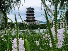 -门城湖公园