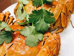 -呼吸森林·生态农庄农家乐私房菜